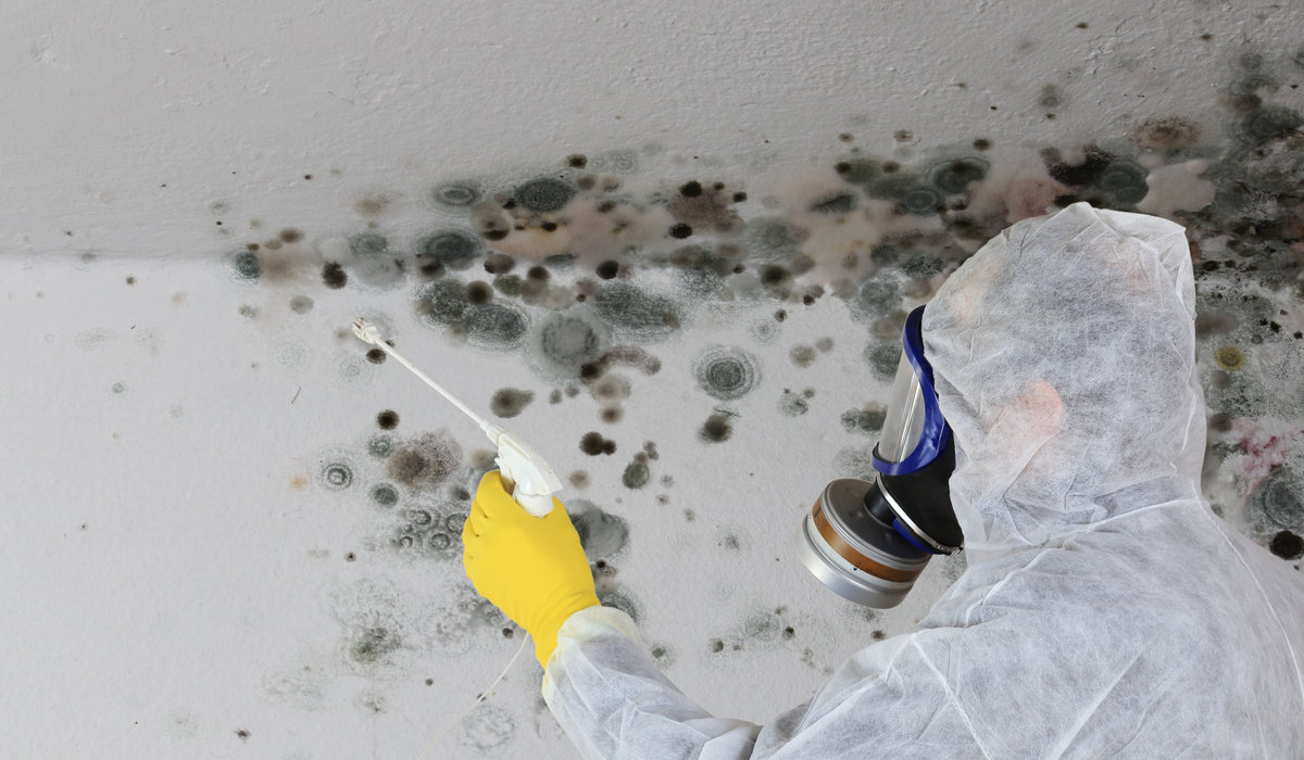 Mold remediation professional wearing protective equipment